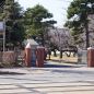 近くの遺愛女子高校