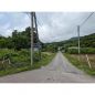 前面道路全景