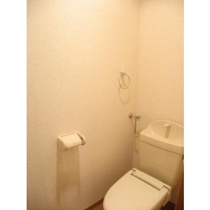 水洗トイレの様子です。