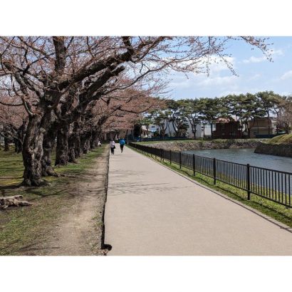 五稜郭公園内のこの通路の突き当りに庭があります。